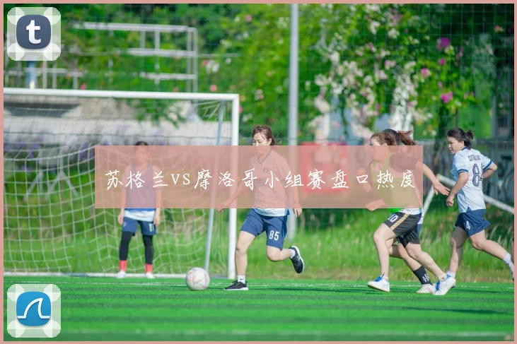 苏格兰vs摩洛哥小组赛盘口热度