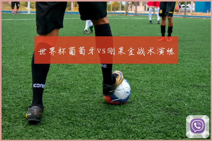 世界杯葡萄牙vs刚果金战术演练