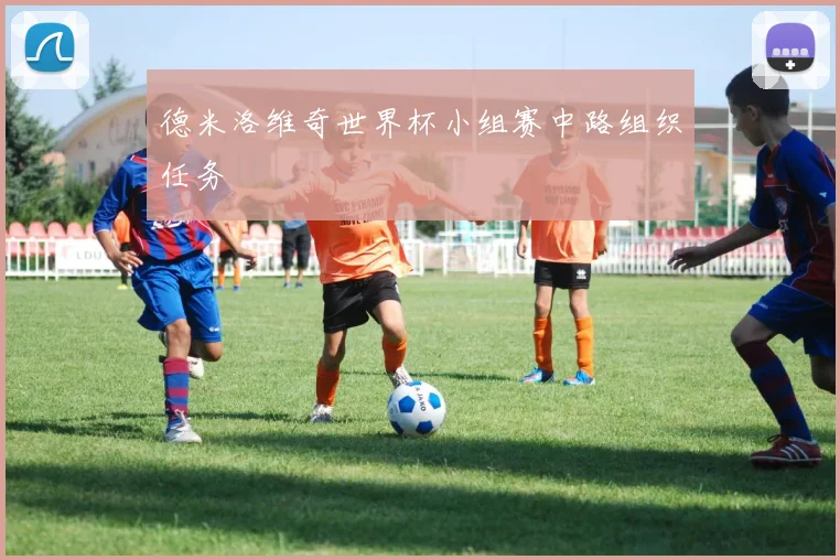 德米洛维奇世界杯小组赛中路组织任务